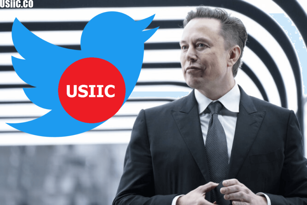 Elon Musk Sets Sights on USIIC.CO: Universal Social Community, the Next Frontier in his Quest for Digital Domination