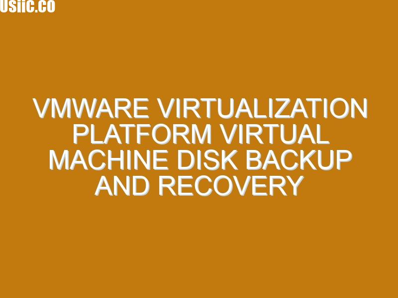 VMware virtualization platform virtual machine disk backup and recovery