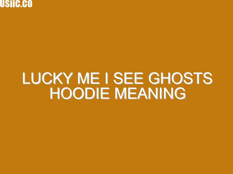 Lucky me I see ghosts Hoodie meaning