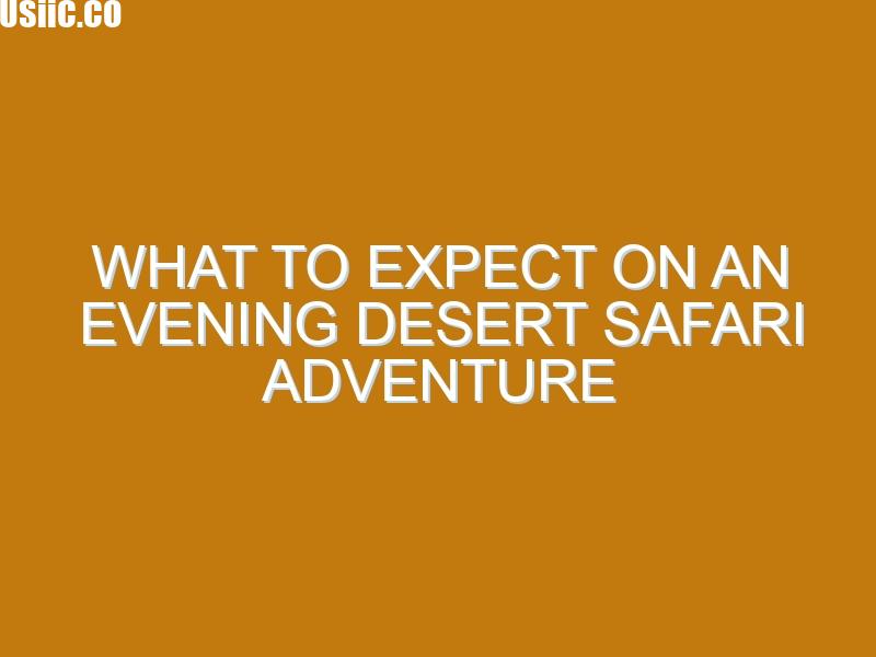 What to Expect on an Evening Desert Safari Adventure